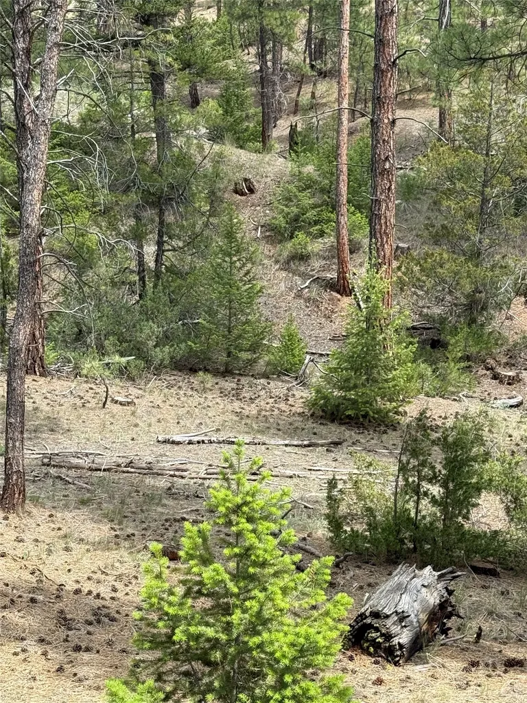 6520 Noble Lane Helena MT 59602