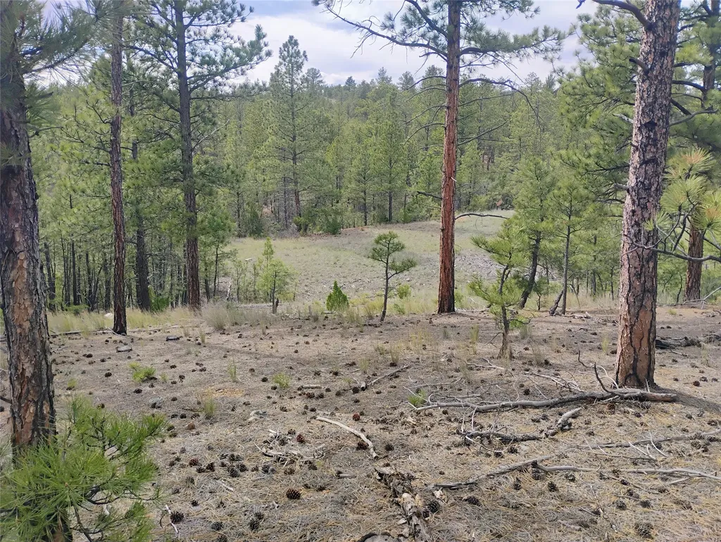6520 Noble Lane Helena MT 59602