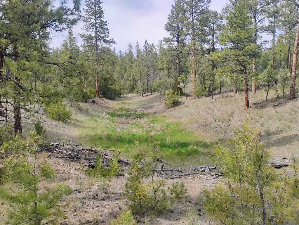 6520 Noble Lane Helena MT 59602