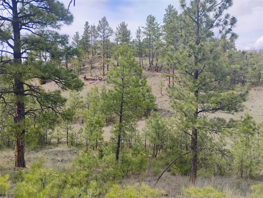 6520 Noble Lane Helena MT 59602