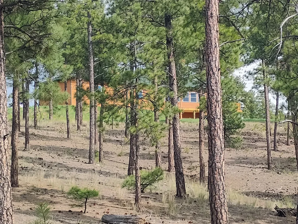 6520 Noble Lane Helena MT 59602