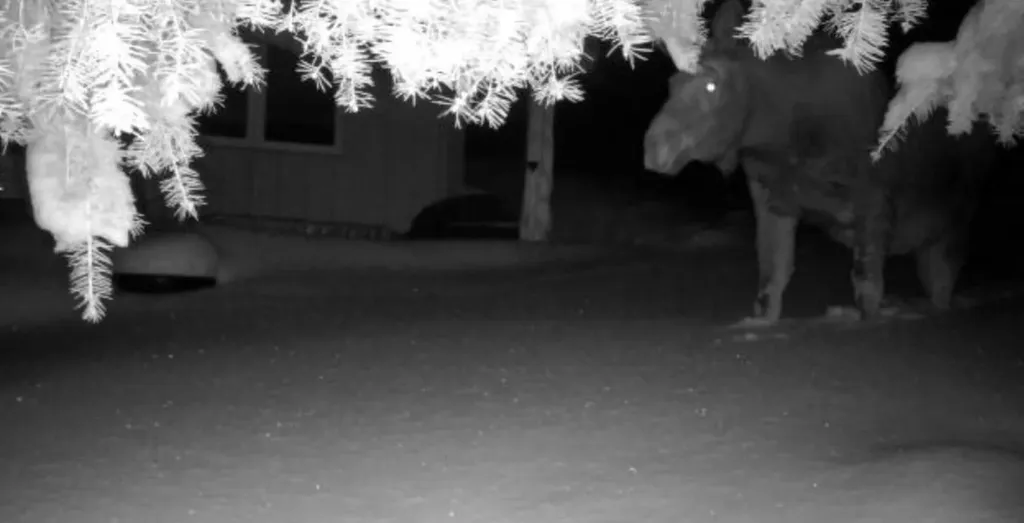 6570 Blossburg Road Canyon Creek MT 59633
