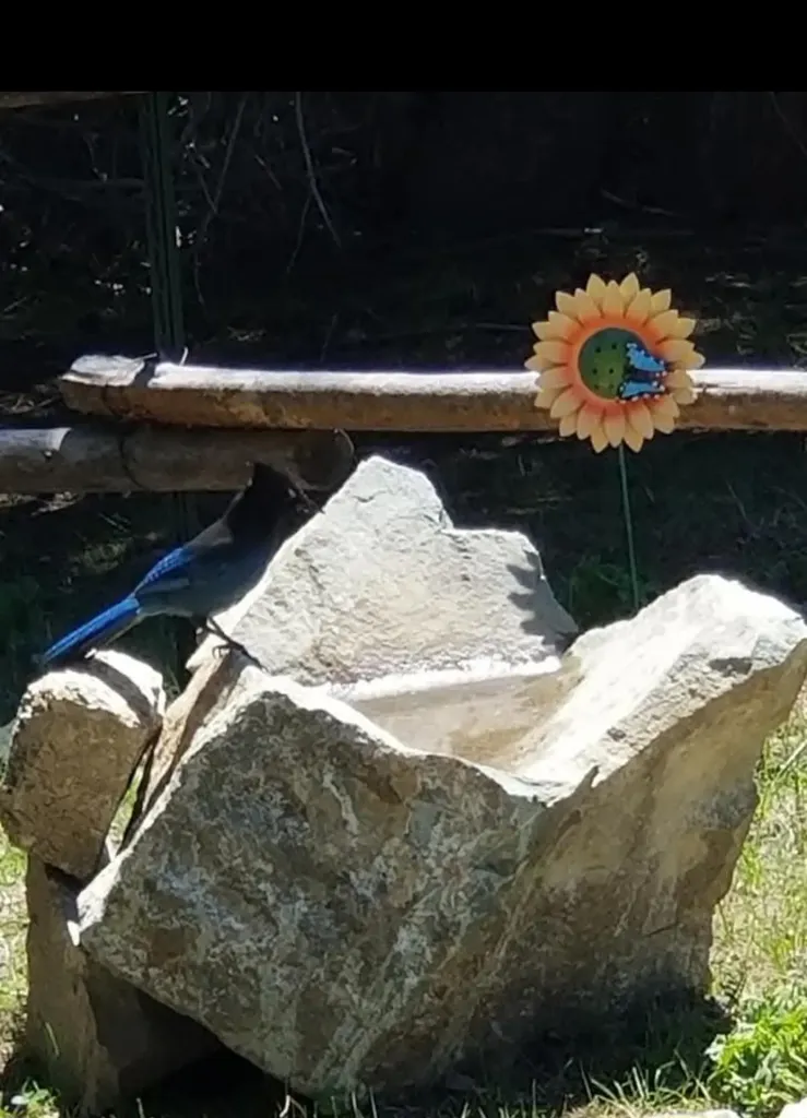 6570 Blossburg Road Canyon Creek MT 59633
