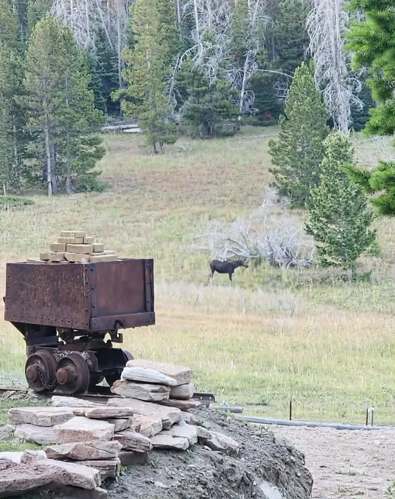 6570 Blossburg Road Canyon Creek MT 59633