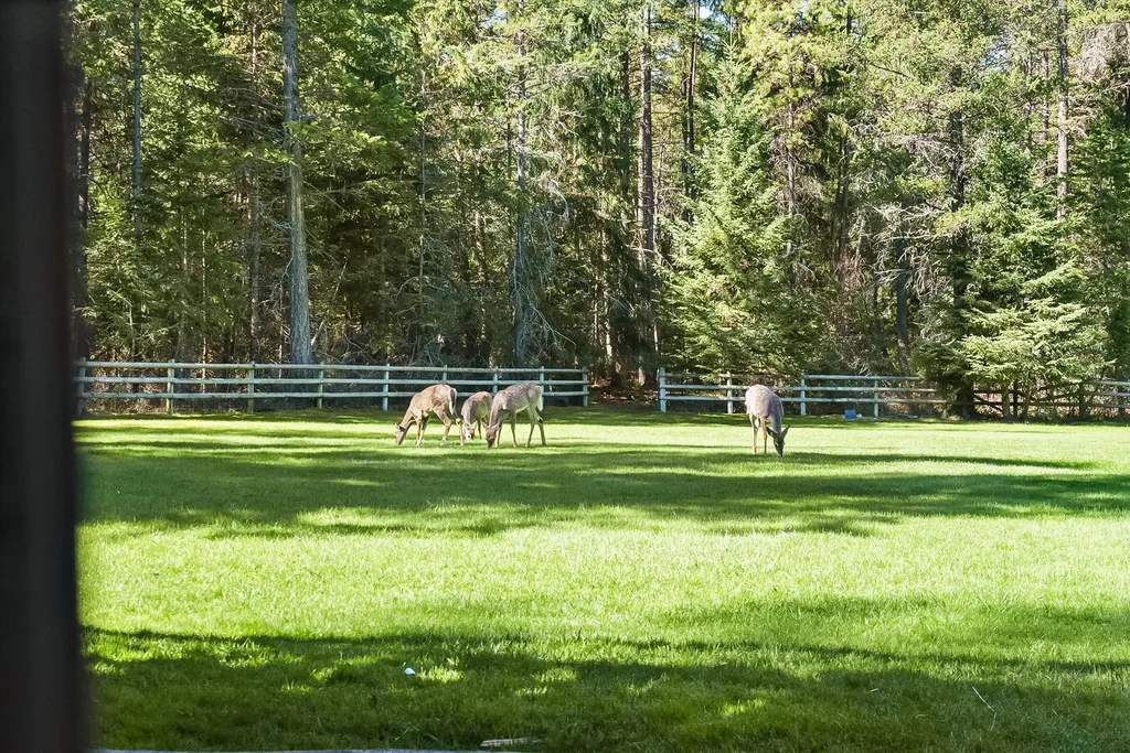 90 Wagon Wheel Road Whitefish MT 59937