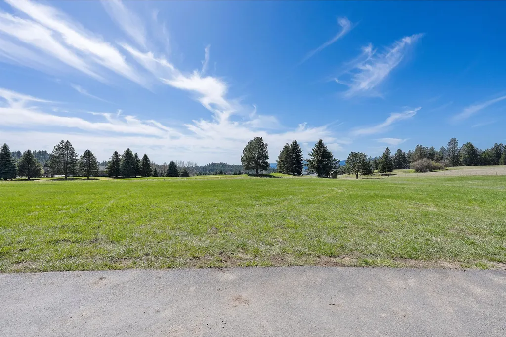 1454 Ponderosa Ridge Drive Bigfork MT 59911