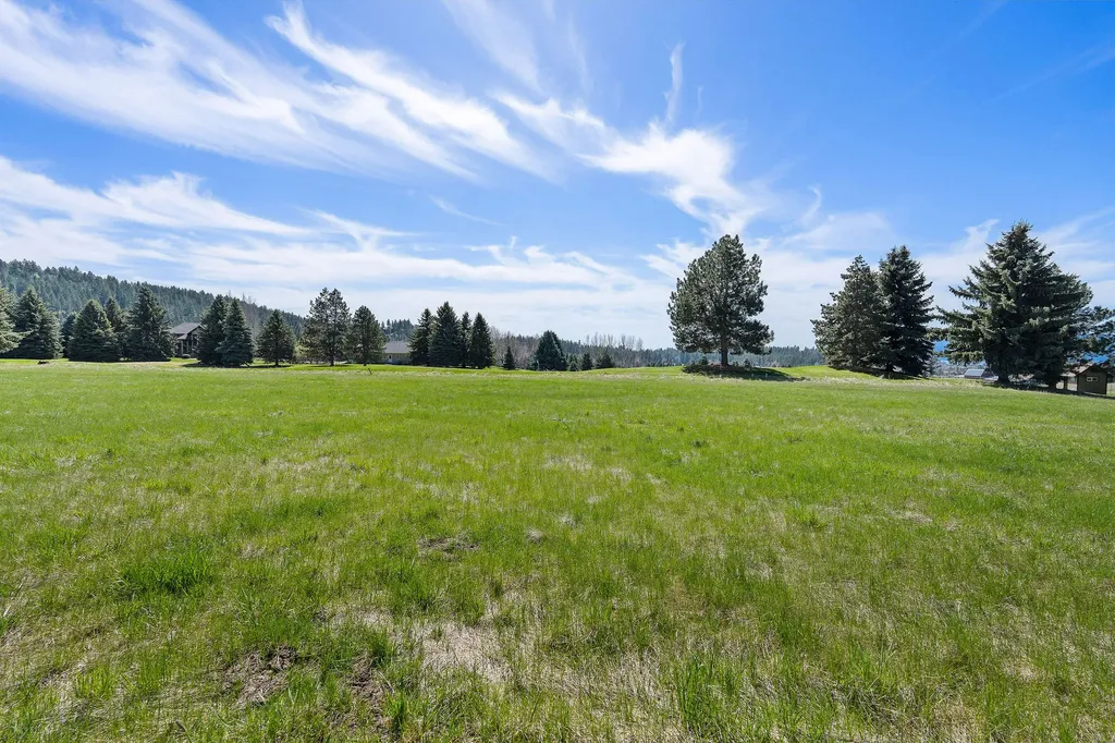 1454 Ponderosa Ridge Drive Bigfork MT 59911