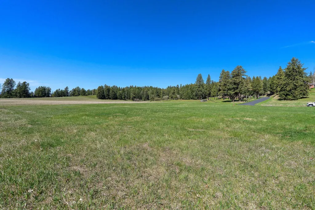 1454 Ponderosa Ridge Drive Bigfork MT 59911