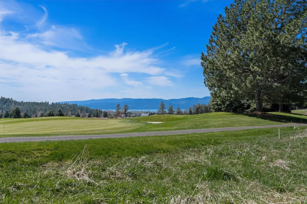 1454 Ponderosa Ridge Drive Bigfork MT 59911