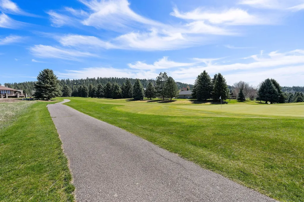 1454 Ponderosa Ridge Drive Bigfork MT 59911