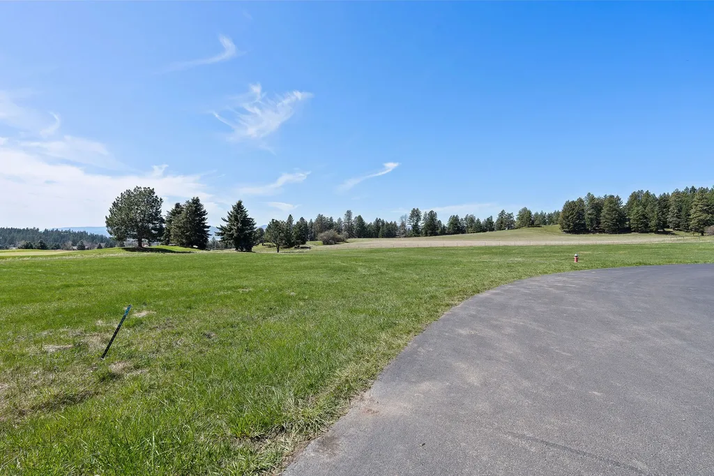 1454 Ponderosa Ridge Drive Bigfork MT 59911