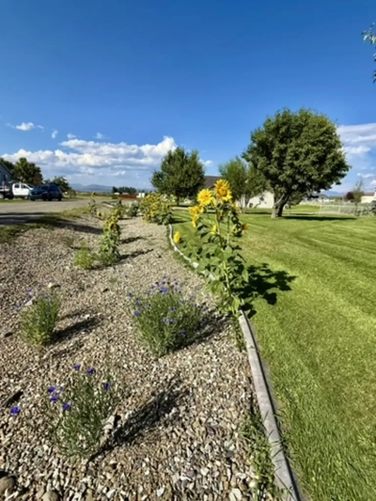 3341 Lilac Drive Helena MT 59602