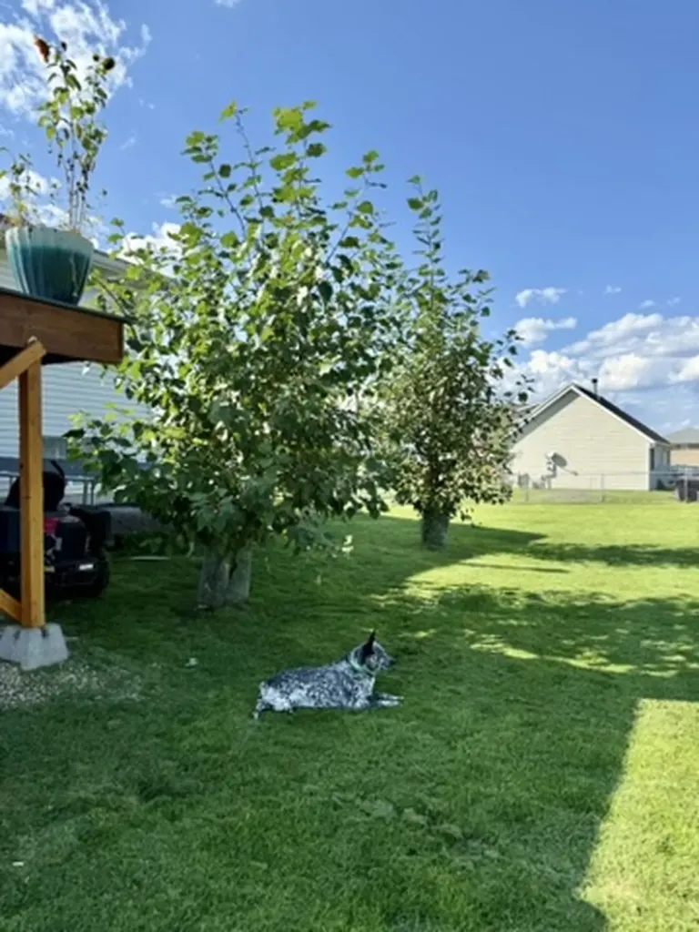 3341 Lilac Drive Helena MT 59602