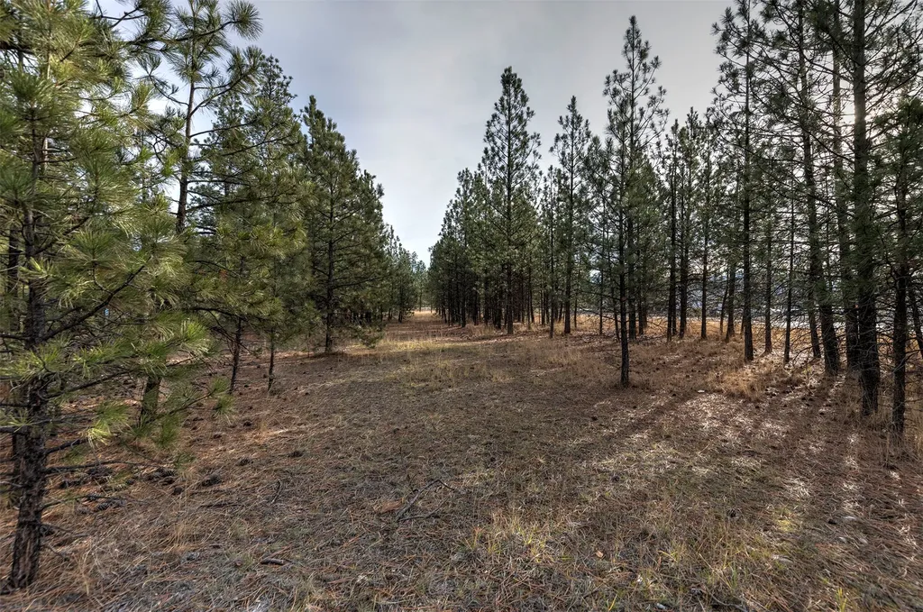 242 Westgate Way Florence MT 59833