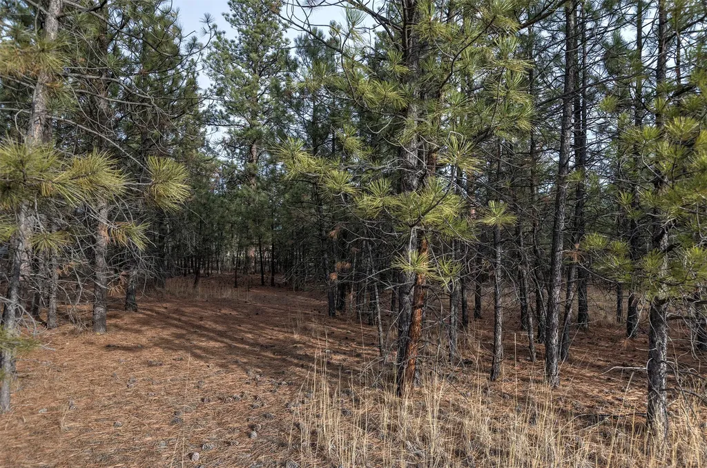 242 Westgate Way Florence MT 59833