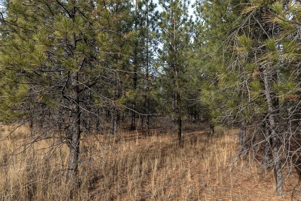 242 Westgate Way Florence MT 59833