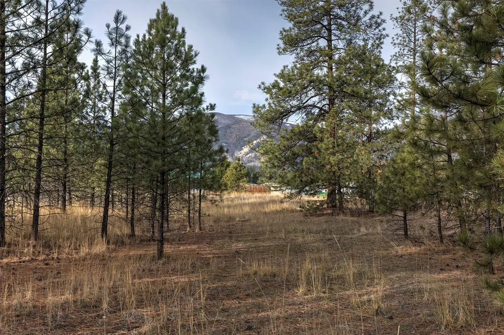 242 Westgate Way Florence MT 59833