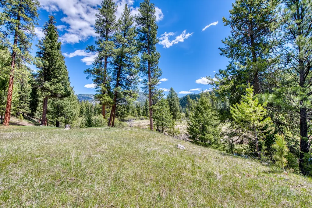 77 Alta Meadow Trail Darby MT 59829