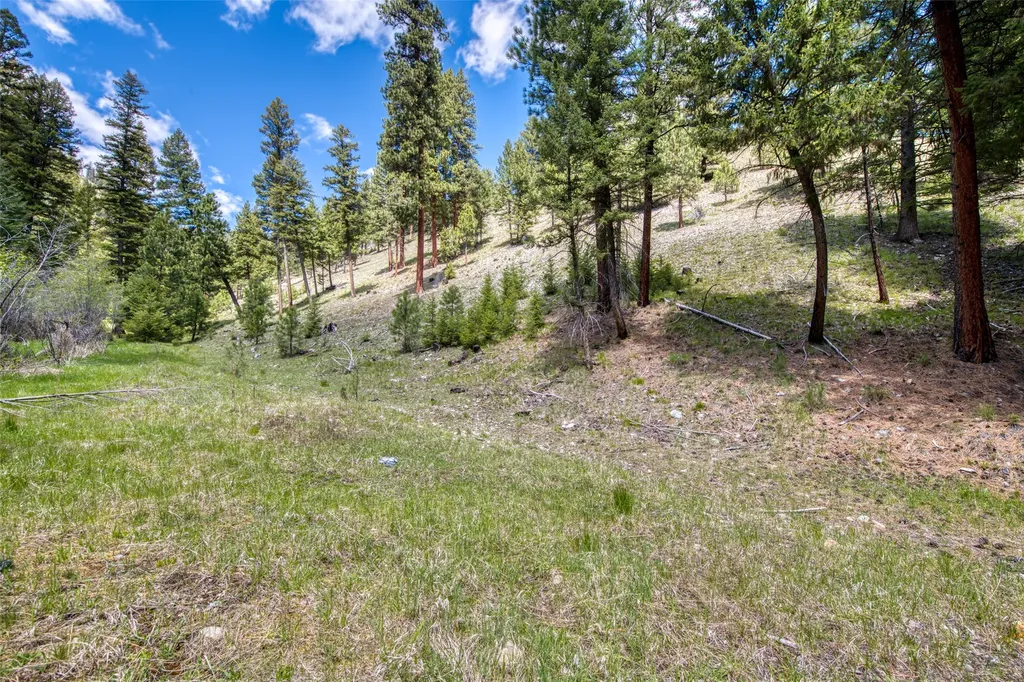 77 Alta Meadow Trail Darby MT 59829
