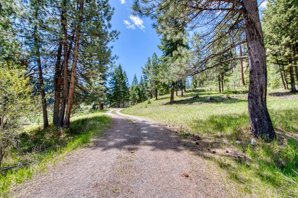 77 Alta Meadow Trail Darby MT 59829
