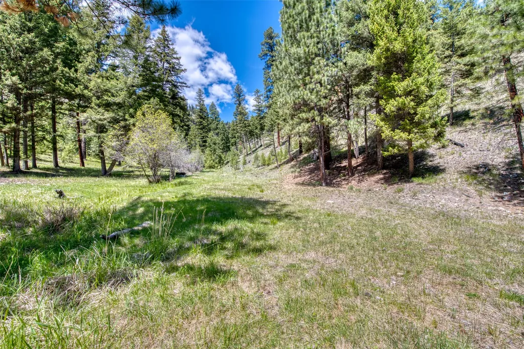 77 Alta Meadow Trail Darby MT 59829