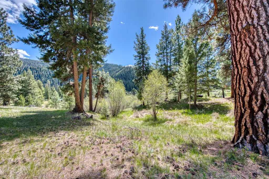 77 Alta Meadow Trail Darby MT 59829