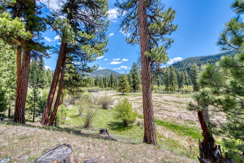 77 Alta Meadow Trail Darby MT 59829