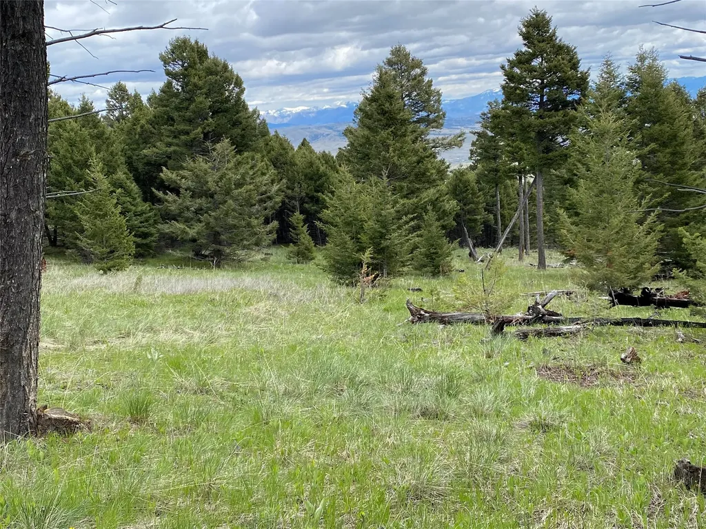 6750- 4a Turk Road Helena MT 59602