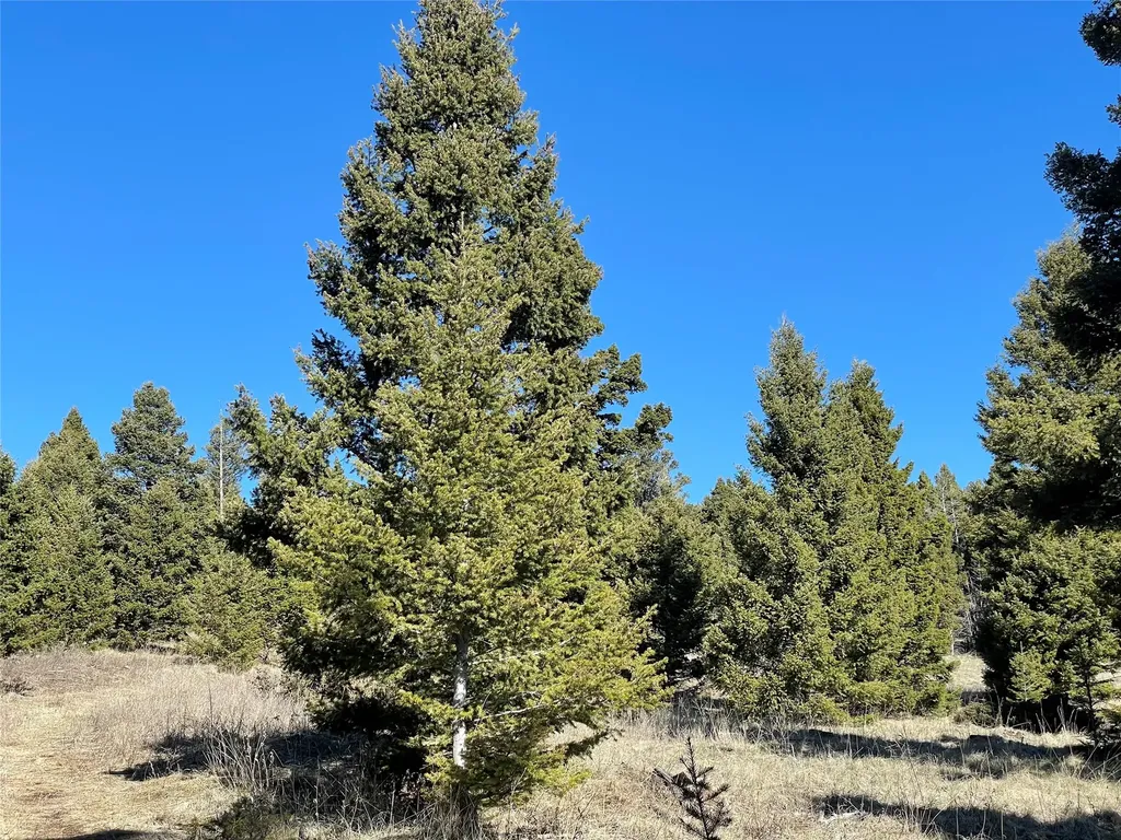 6750- 4a Turk Road Helena MT 59602