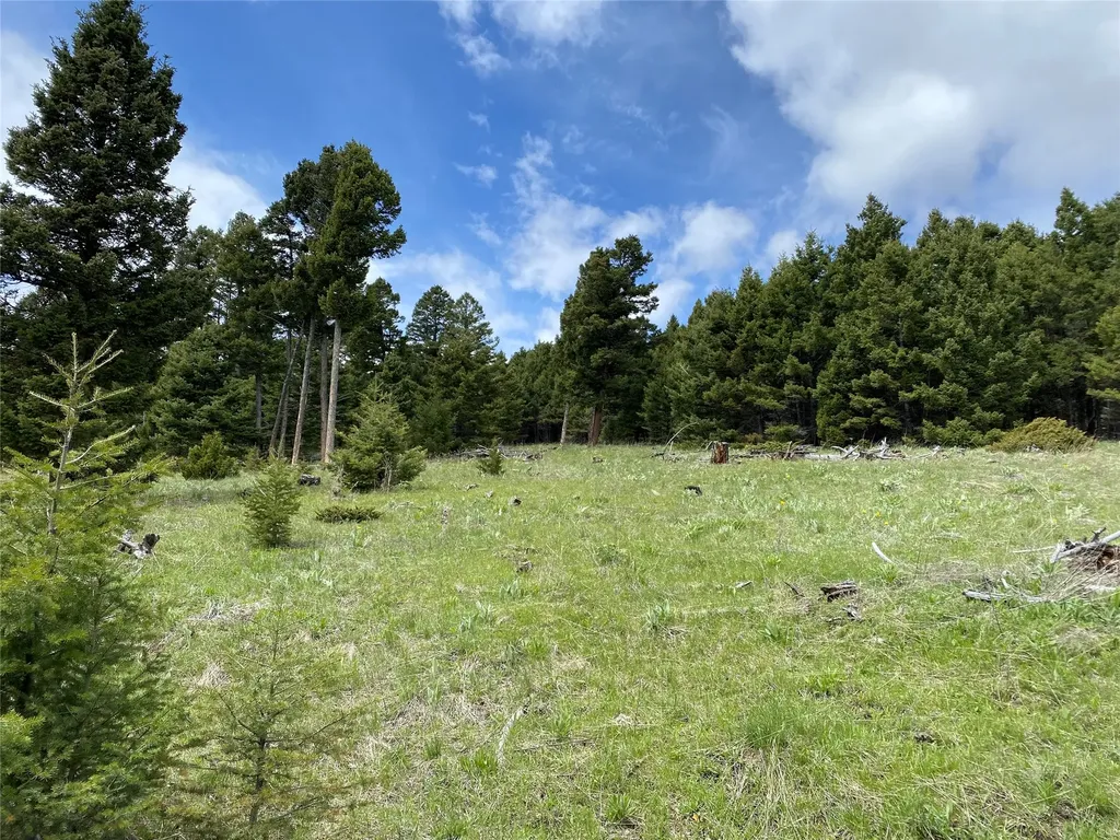 6750- 4a Turk Road Helena MT 59602