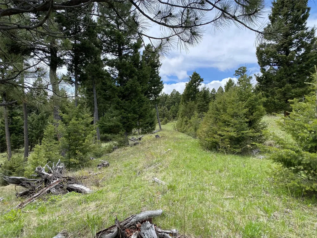 6750- 4a Turk Road Helena MT 59602