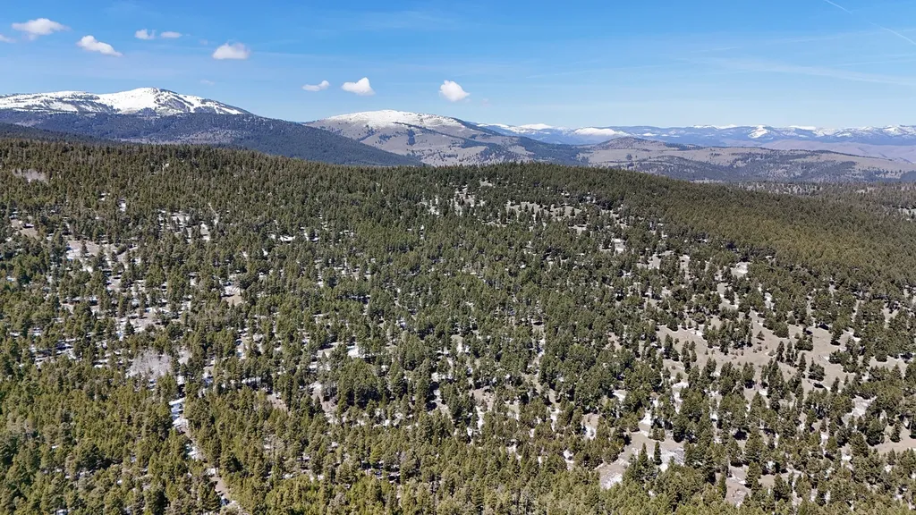 6750- 4a Turk Road Helena MT 59602