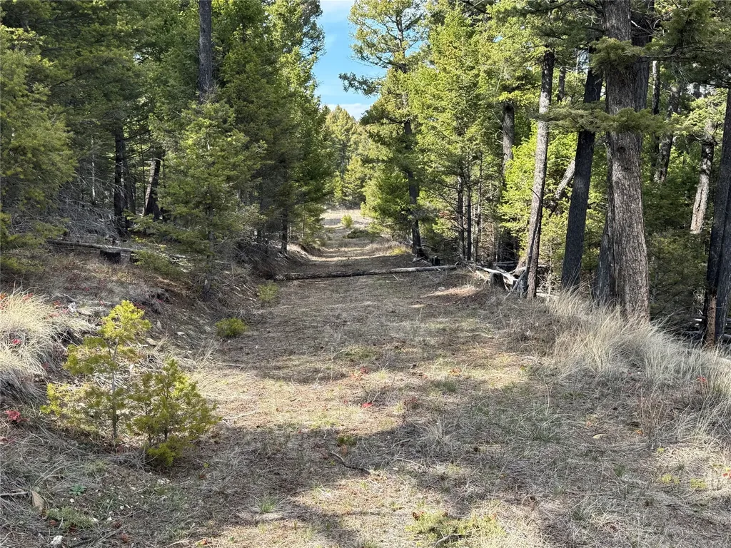 6750- 4a Turk Road Helena MT 59602