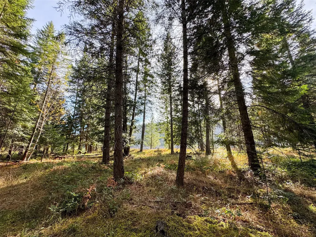 352 Estate Drive Troy MT 59935