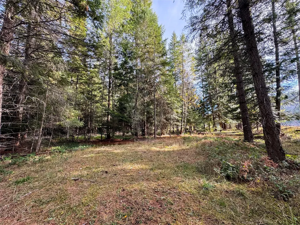352 Estate Drive Troy MT 59935
