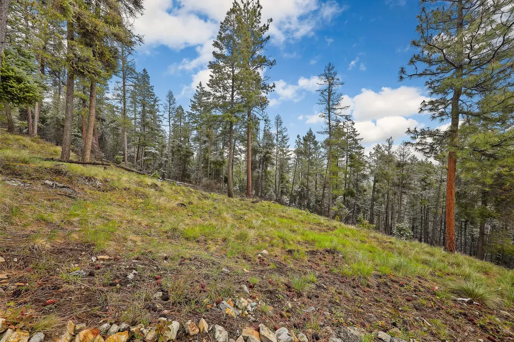 1277 Bierney Creek Road Lakeside MT 59922