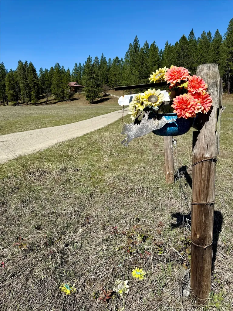 41 Blue Slide Road Trout Creek MT 59874