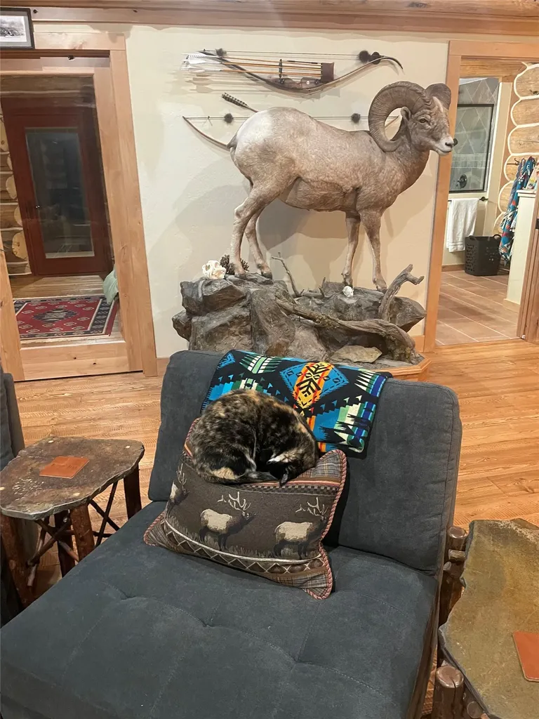 1134 Marshall Creek Road Philipsburg MT 59858