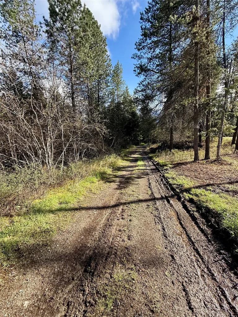 4113 Mount Highway 200 Trout Creek MT 59874