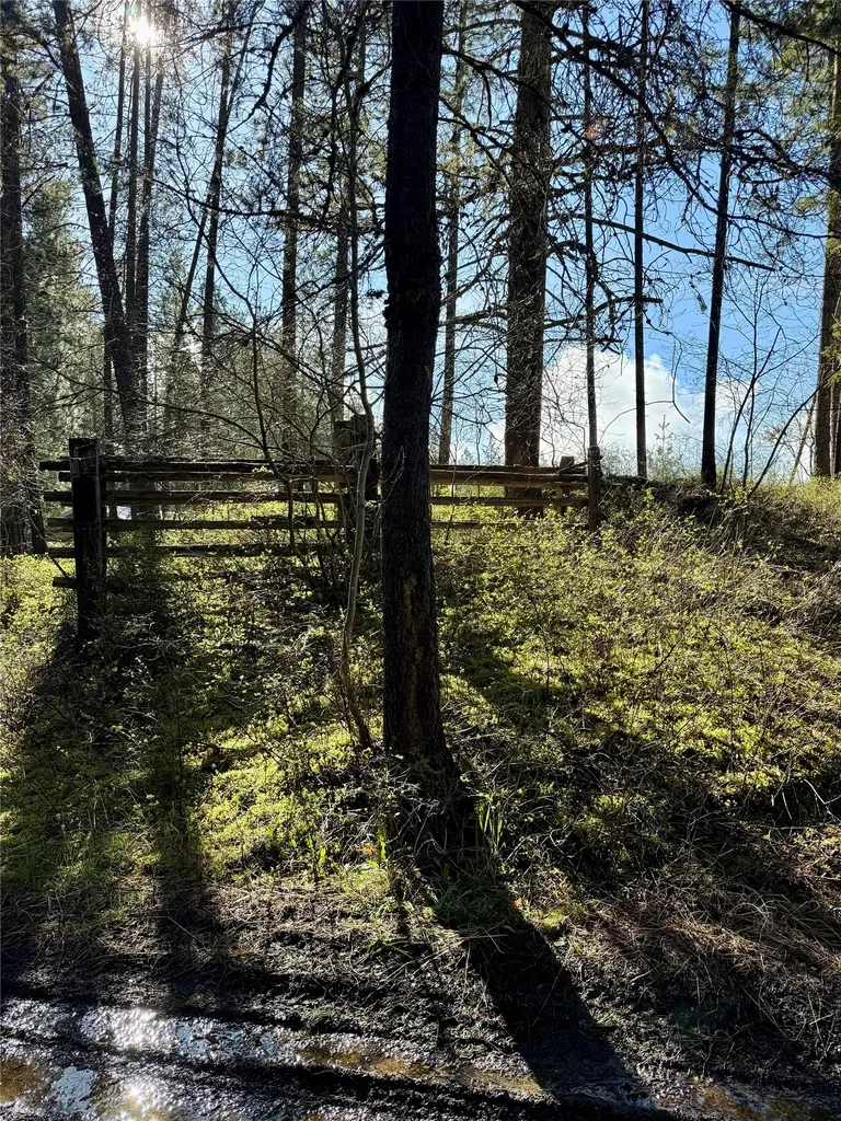 4113 Mount Highway 200 Trout Creek MT 59874