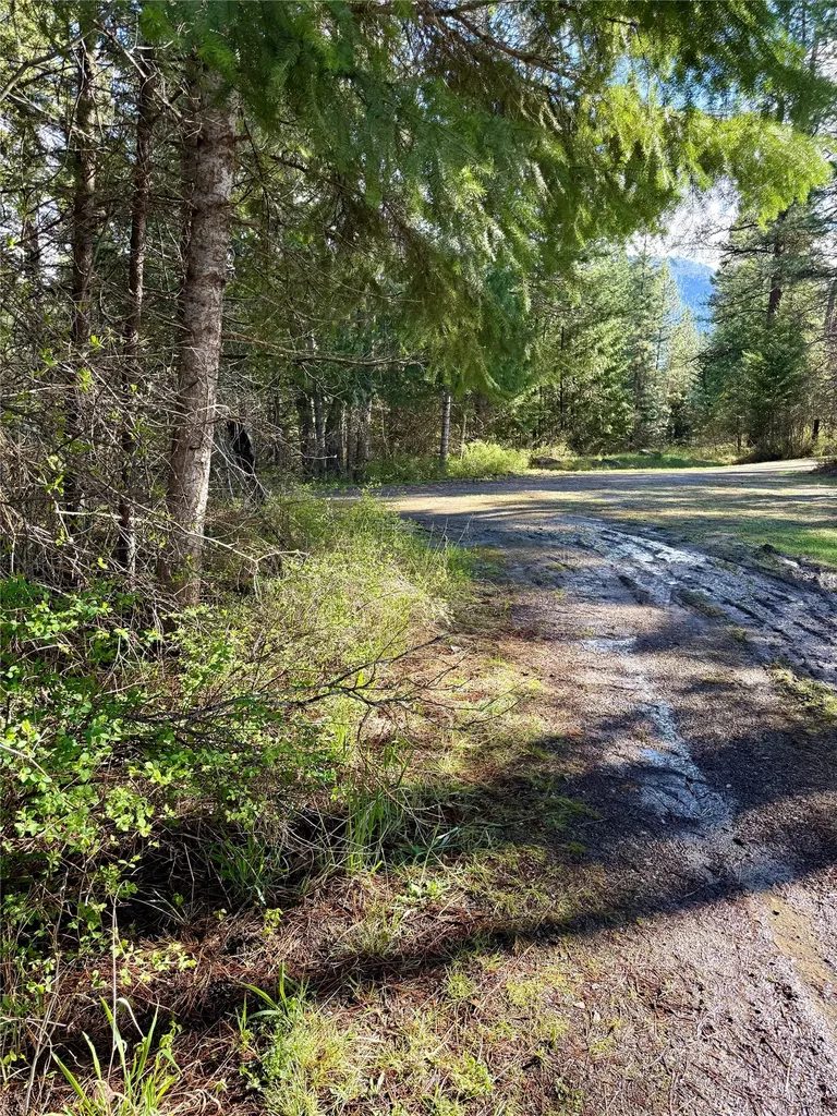 4113 Mount Highway 200 Trout Creek MT 59874