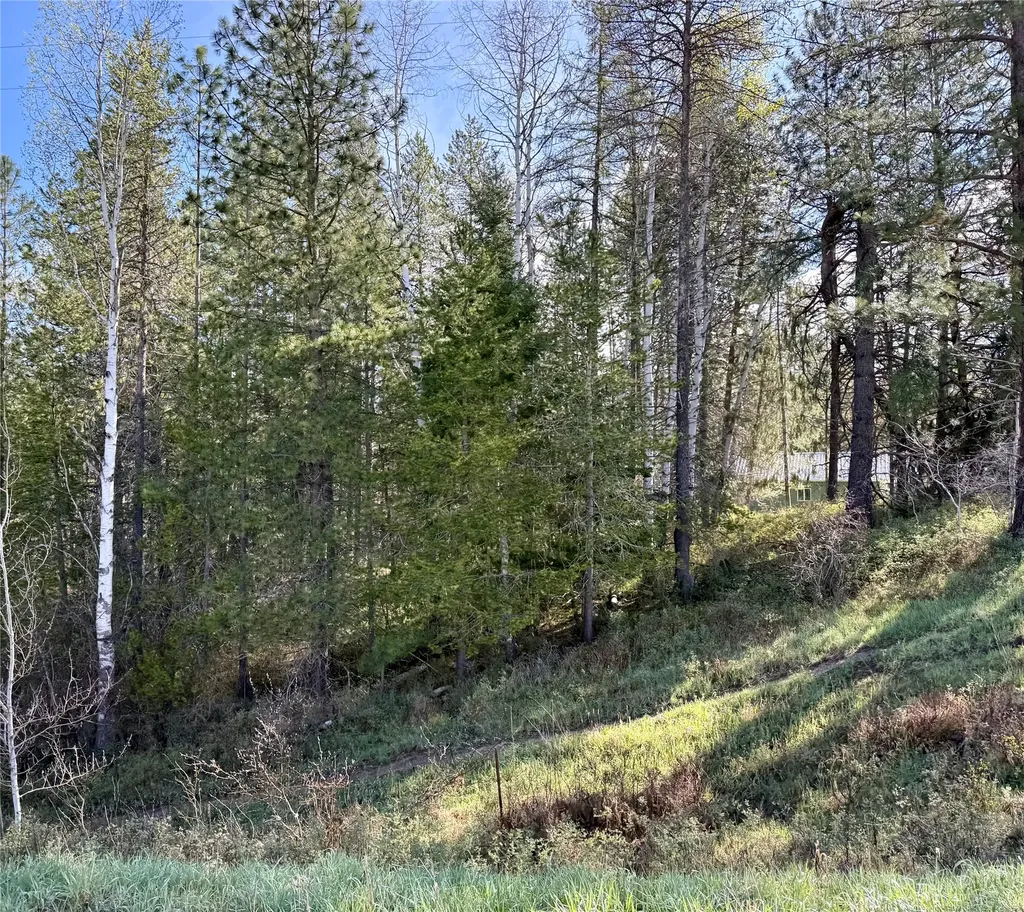 4113 Mount Highway 200 Trout Creek MT 59874