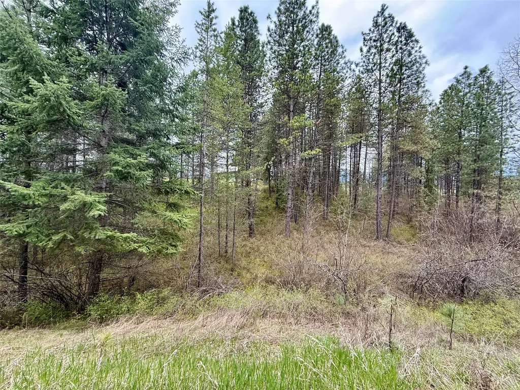 4113 Mount Highway 200 Trout Creek MT 59874