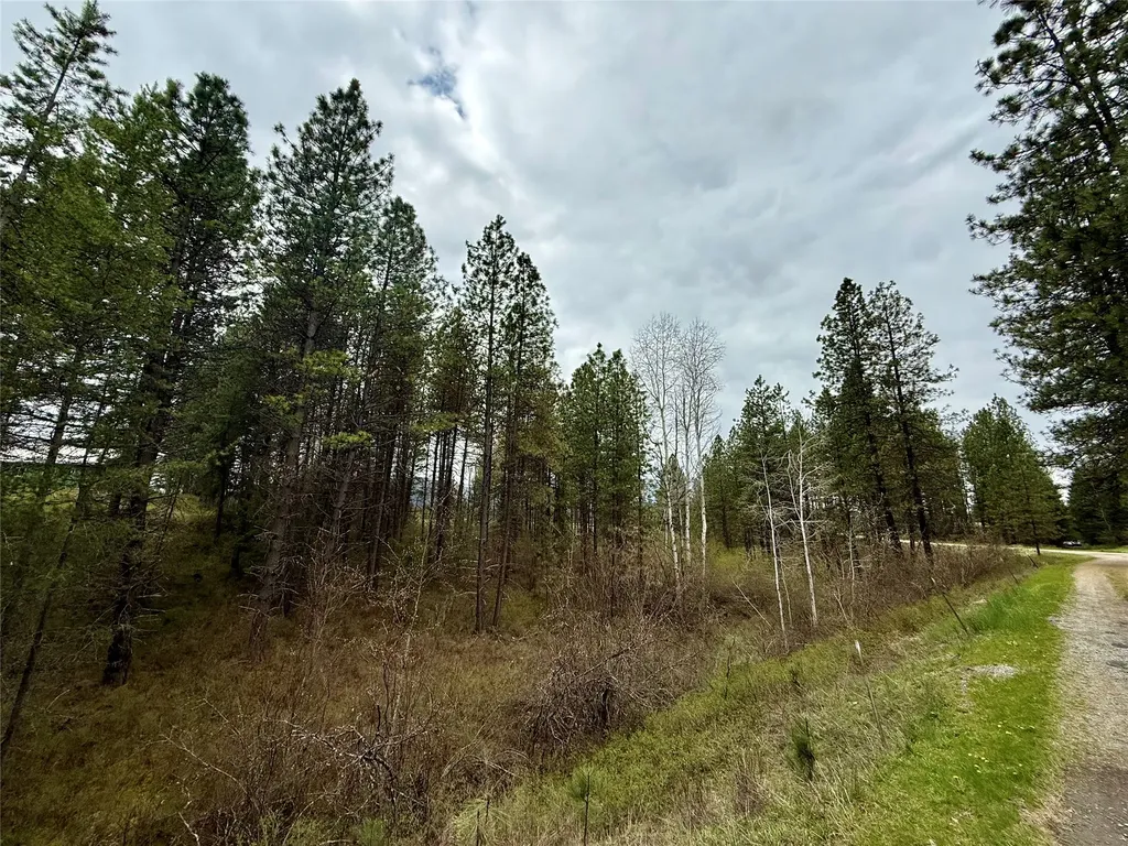 4113 Mount Highway 200 Trout Creek MT 59874