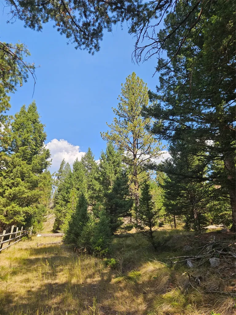 8880 Elk Trail Loop Lincoln MT 59639