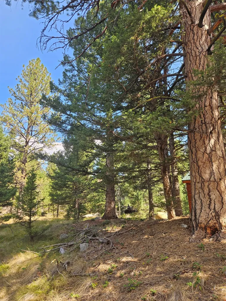 8880 Elk Trail Loop Lincoln MT 59639