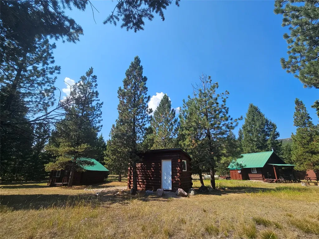 8880 Elk Trail Loop Lincoln MT 59639