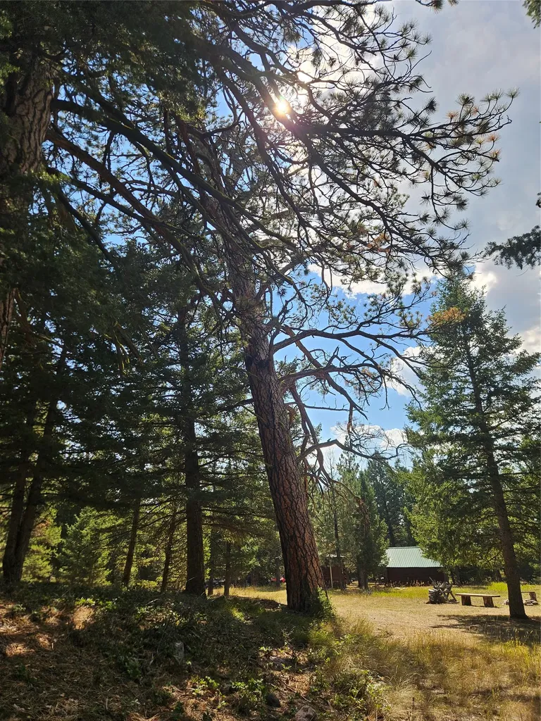 8880 Elk Trail Loop Lincoln MT 59639