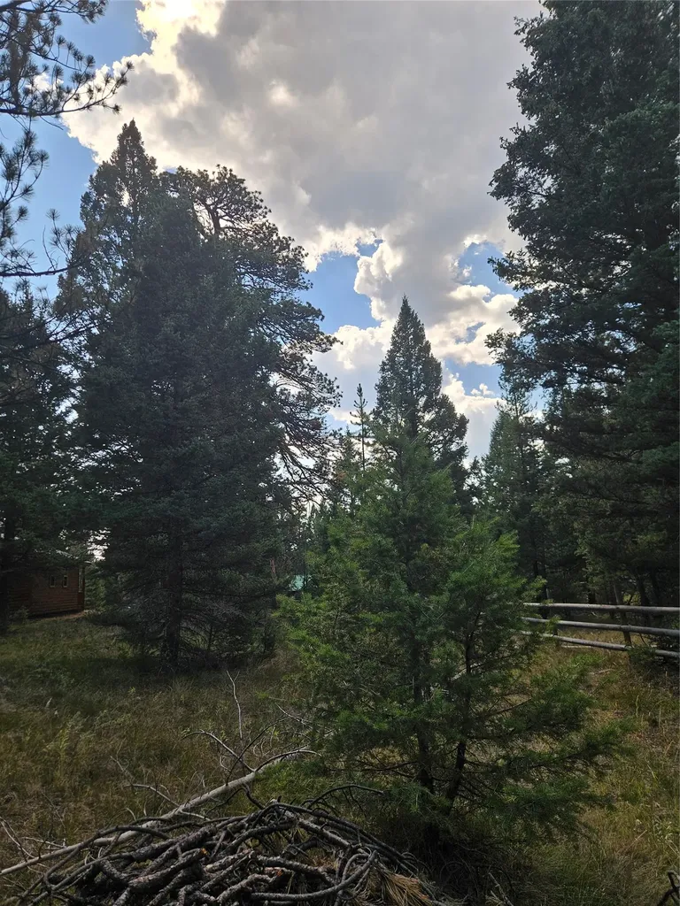 8880 Elk Trail Loop Lincoln MT 59639