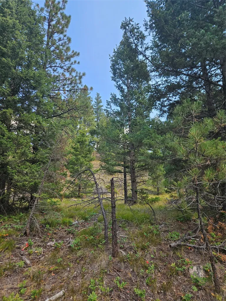 8880 Elk Trail Loop Lincoln MT 59639